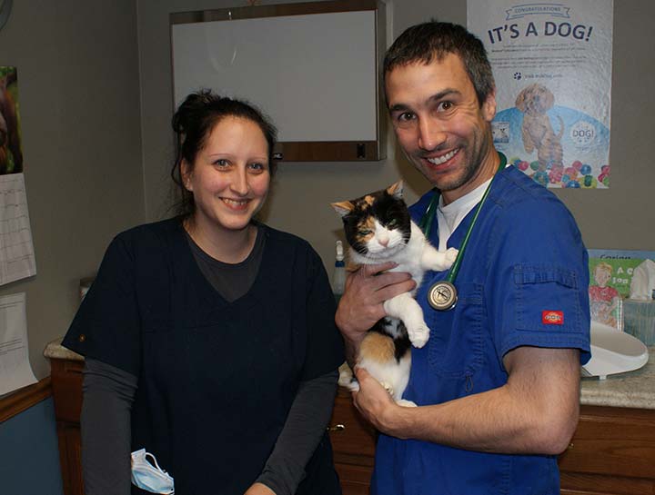 Preventive Care for Cats