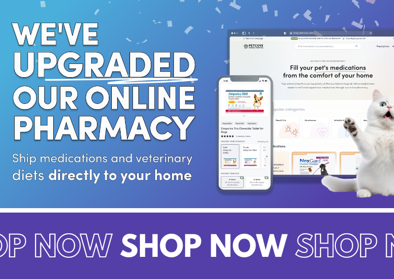 Carousel Slide 27: Shop our online pharmacy!